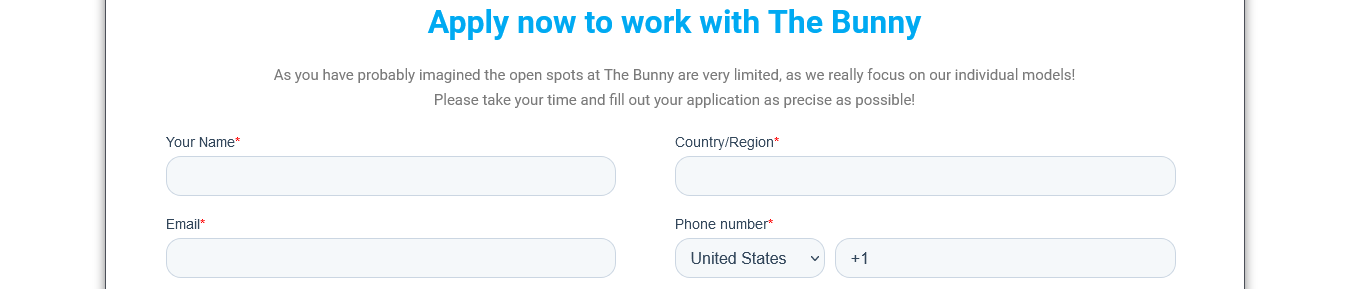 The Bunny Agency application