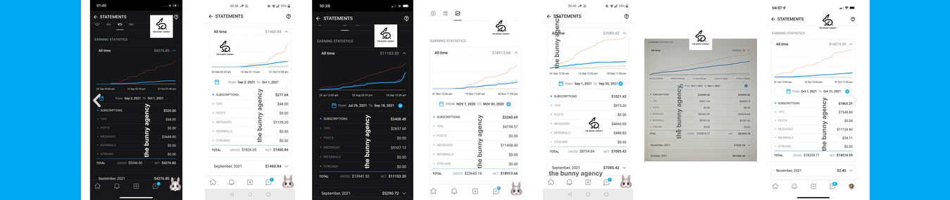 The Bunny Agency statistics