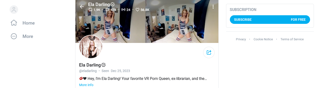 How does VR change porn